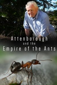 Attenborough and the Empire of the Ants (2017)