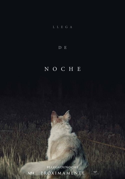 Viene de noche (2017)